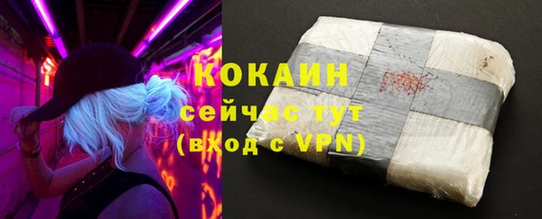 дурь Заводоуковск