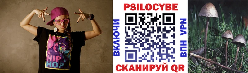 Купить закладки  Озёры  Галлюциногенные грибы Psilocybine cubensis 